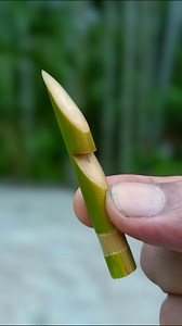 Bamboo creations with bamboo stick yous #bambooart #Toys #Bamboo #Bamboovideo #Tiys #Diyvideo #Slingshots #Bambooidea #Toy #Bamboocreations #Bamboocraft #Diy #Craft #Tiy #BambooCrafting | Bamboo art