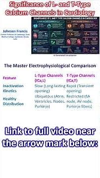 Significance of L- and T-Type Calcium Channels in Cardiology