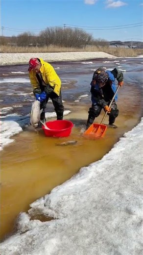 Ice Fishing Amazing Catch on Frozen Lake ❄️🎣