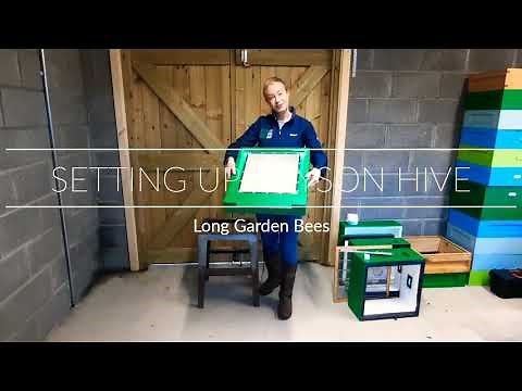 How to set up a Lyson Poly Hive
