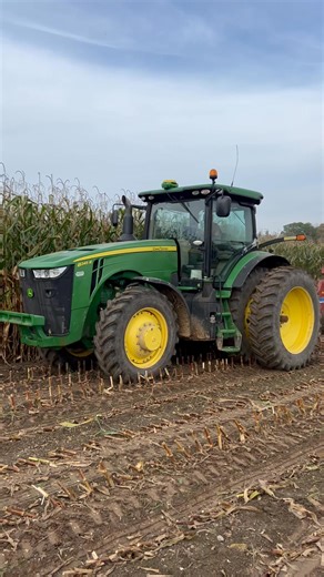 Knocking out some 93 day BMR today.yields looking a lot better than last years silage crop! | Redetzkes’ No Joke Dairy