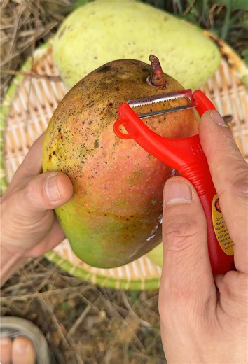 Satisfying ASMR Fruit Cutting Experience