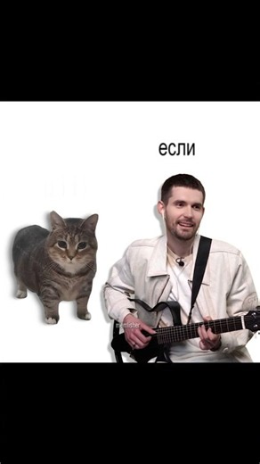 NOIZE MC – THE UNIVERSE IS INFINITE, but it's Oiiai Cat Remix (uiiai) #mashup #remix #oiiacat #no...
