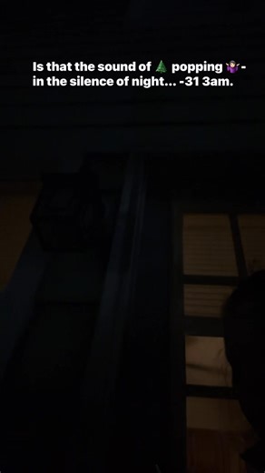 Trysta Mae on Instagram: "Is this what they mean my trees exploding? Too cold to go look. Silence of 3am -31 #Wisconsin #ExplodingTrees #freezing #Wisconsin #winter #exploding #fypシ゚viralシfypシ゚ #hhyardimprovements #trystamae #WashingtonCounty when your dog is scared that’s scary 🫣 lol."