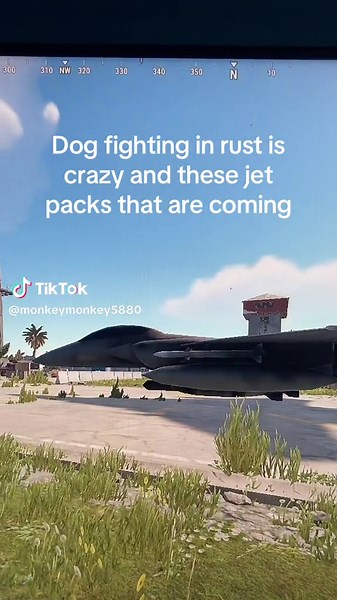 Dog fighting in rust #fyp #rust | dog