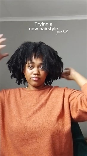 trying a new hairstyle on 3c 4a hair #naturalhair #twohighpuffs