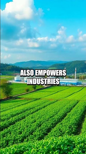 The Future of Protein Engineering: Designing Life at the Molecular Level