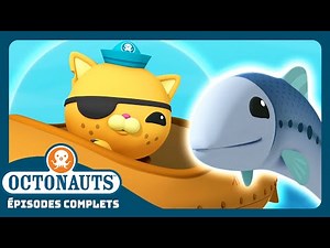 Octonauts - 🐟 L'école des sardines 🏫 | Saison 1 | Épisodes complets