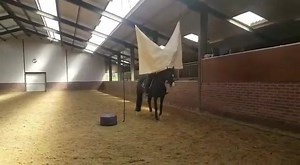 6.3K views · 247 reactions | Just a normal day of training  | TRTmethod | Facebook