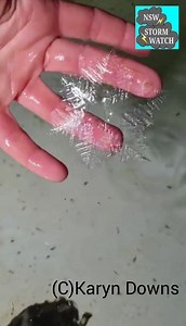 Wow amazing snow flake looking frozen pattern this morning Thanks Karyn Werombi NSW 2570 (near Camden) | New South Wales STORM WATCH