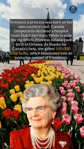 Canada once declared a hospital room Dutch territory for a royal birth. #history #didyouknow #worldhistory | Ancient Enigma