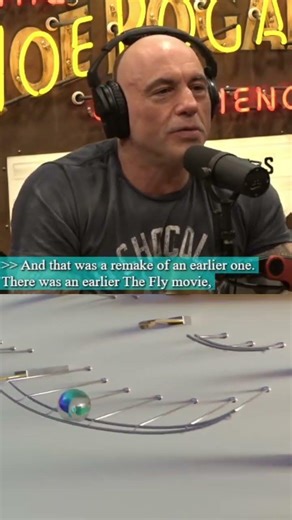 Joe Rogan Experience #2451 - Cheryl Hines