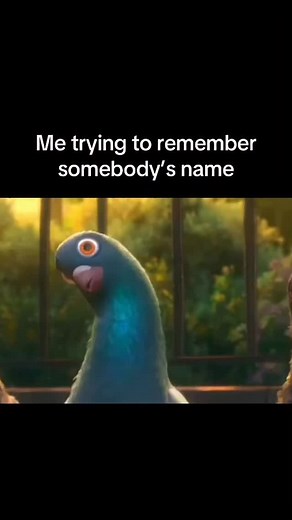 Memes | 💀 Bolt is a 2008 computer-animated film produced by Walt Disney Animation Studios. The story follows Bolt, a white dog who plays a... | Instagram