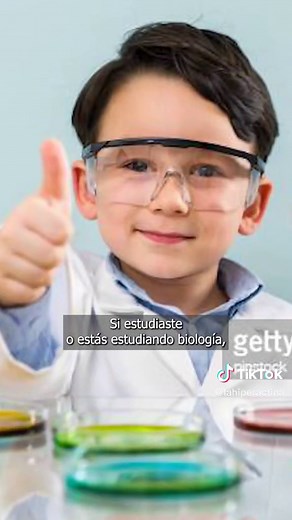 Cómo se replica el ADN: Proceso y Tipos