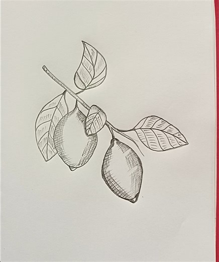 How to draw a Lemons on Bunch without colour 🫒💥 #lemonart #lemondrawing #pencilsketch #shortsfeed