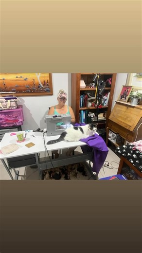 #crazycatlady #tiggy | Tina Smith