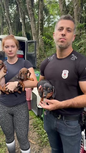 Mais um canil clandestino e acumuladora 🥹 O Instituto precisa de ajuda! #animais #doglovers #amoanimais #cachorro #pets #dogs #patas #sos4patascampolargo #sos4patasparana #causaanimal #filhotes #animaisfantasticos