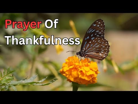 Prayer of Thankfulness: Remembering God’s Goodness