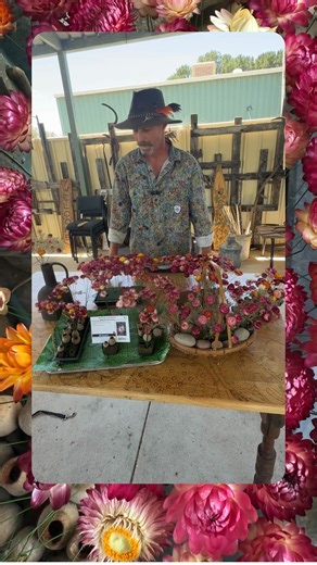 2.7K views · 38 reactions | Xerochrysum bracteatum or commonly known as Straw Flowers. These have been wired for use in dry and dry/fresh arrangements. | Australian Native Nursery | Facebook