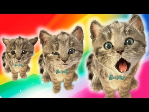 Little Kitten Simulator Adventure Educational Games - Play Fun Cute Kitten Pet Care Gameplay #625