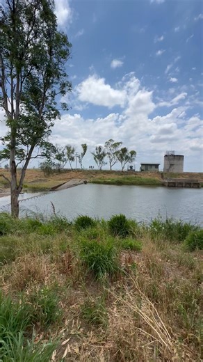 Rob Anderson on Reels