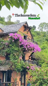 54K views · 805 reactions | This is certainly one of the best places to visit if you r looking for Tranquility, peace, and to be with Nature. Plan a trip with ur children or close friends ... The Famous Farm, Nuwakot  by @dheerajpoudel | Nepal | Facebook