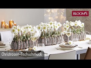 Christrosen-Tischschmuck | Weihnachtsdeko | christmas decoration | BLOOM’s Floristik