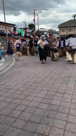 Zapateo en Inti Raymi Cotacachi: tradición andina y gratitud