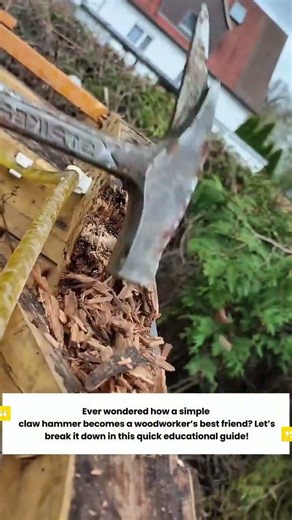 Claw Hammer: Essential Tool for Woodworking - Complete Educational Guide | TimberCraft Studio"