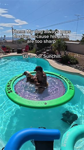 Sunchill | The Ultimate Boat & Pool Float on Instagram: "The only floaty that can handle dog paws, dog energy, and dog drama😜🐶 #poolparty #pawrents #puppylove #dogsthatswim #floaty"