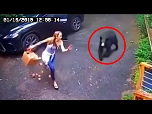 12 Scariest Bear Encounters Caught on Security Camera