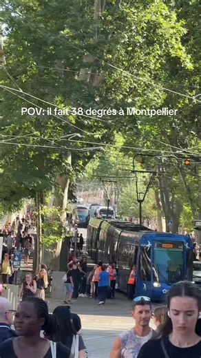 Tram à Montpellier en canicule : vivre les transports à 38°C