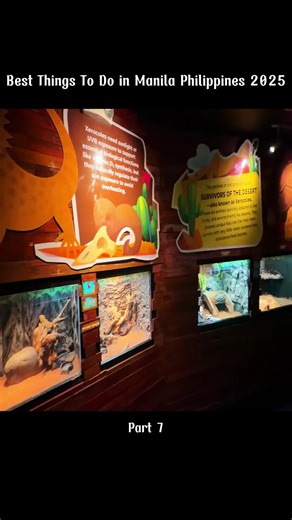 Best Things To Do in Manila Philippines 2025 #best #thing #manila #philippines #2025