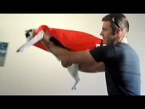 SUPER KITTY!!!