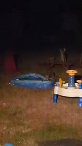 45K views · 416 reactions | The world's happiest raccoon was caught on camera in SE Portland early Friday morning. (Bonus points if you can spot the creepy deer statue.) (Video courtesy of Stacy Evensen) | The Oregonian | Facebook