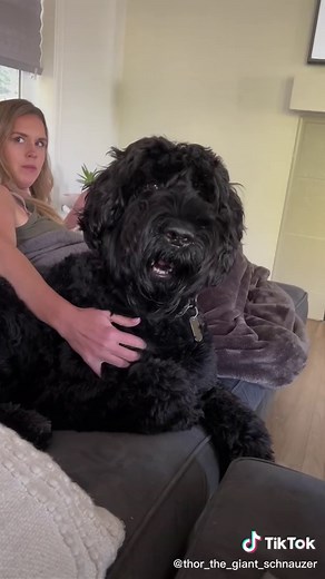 To bark or not to bark #thor #fyp