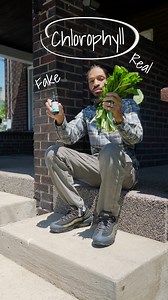 81K views · 4K reactions | Fresh greens beat the bottle every time. What you get with cold-pressed greens: •True chlorophyll •Living enzymes •Zero additives •Bonus: fiber-rich pulp for crackers, smoothies or skincare If you’re drinking bottled chlorophyll for health— you deserve the full-spectrum benefits. Juice your greens. 塞 #ColdPressedJuice #Chlorophyll #GreenJuice #ChlorophyllWater #GreenWellness #peacegod #brandonahmaud | Brandon Ahmaud | Facebook