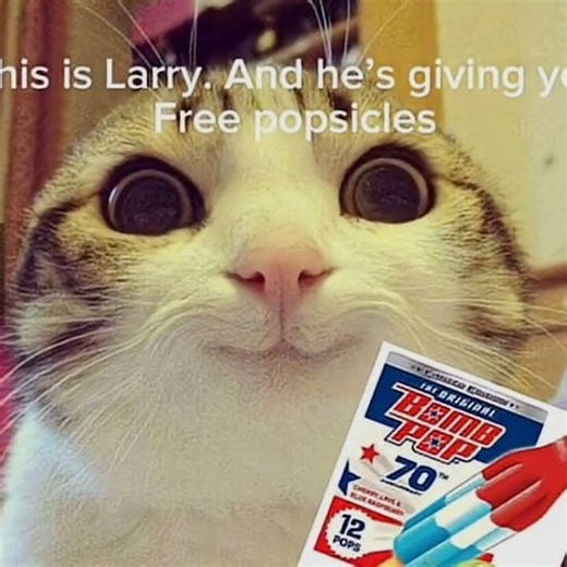 larri giving popsicles (creds to da owner for the pic/ෆ⁠╹⁠ ⁠.̮⁠ ⁠╹⁠ෆ