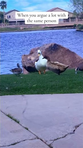 A signs that its NOT meant to be