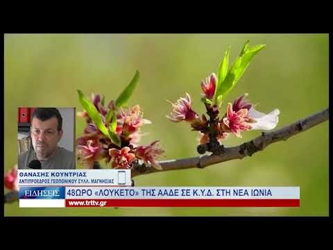 Βόλος 48ωρο «λουκέτο» της ΑΑΔΕ σε Κ.Υ.Δ. στη Νέα Ιωνία 161025