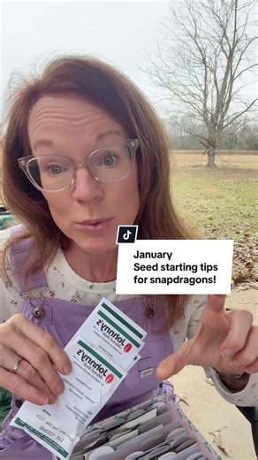 January Seed Starting Tips for Snapdragons