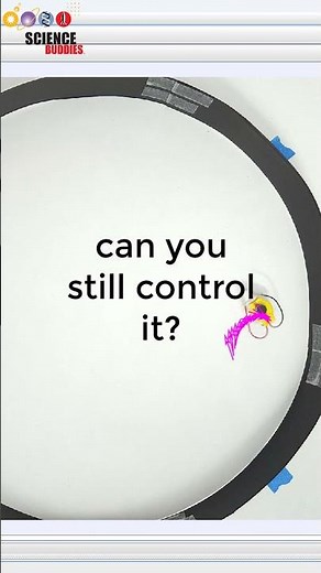 science project: bristlebot shape and movement