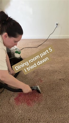 Dining Room Cleaning Timelapse with Dawn Powerwash