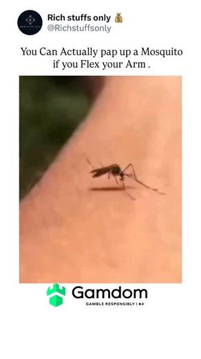 Rich Stuffs Only 👑 on Instagram: "It’s a widely circulated belief that if a mosquito lands on your arm and you flex or tense your muscle while it’s feeding, you can force it to “explode” from drinking too much blood. The idea stems from the thought that tightening the skin might trap the mosquito’s feeding tube and raise blood pressure enough to overfill its body. However, entomologists and insect-biology experts dismiss this as a myth. Mosquitoes feed using a delicate proboscis made of multipl