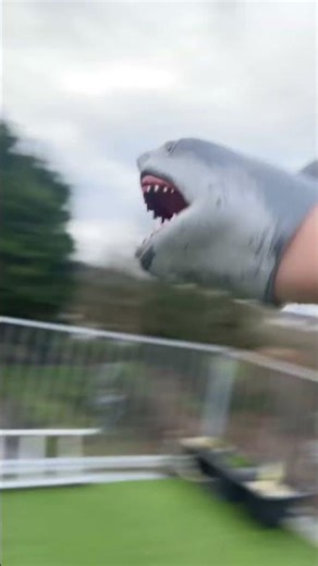 SB Short: Shark Puppet’s Wind Dizzy! 😵‍💫#shorts