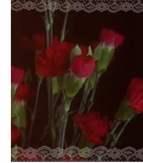 #MULTIFANDOM // I love them all // #mylovemixupseries #voltron #sk8theinfinity #seraphoftheend // i wish i could tag the rest 😿