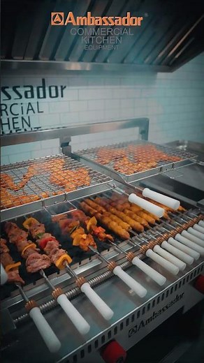 ACKE Automatic Rotating Gas BBQ/Seekh Kebab Grill