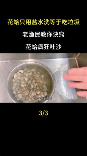 花蛤只用盐水洗等于吃垃圾，老渔民教你诀窍，花蛤疯狂吐沙
