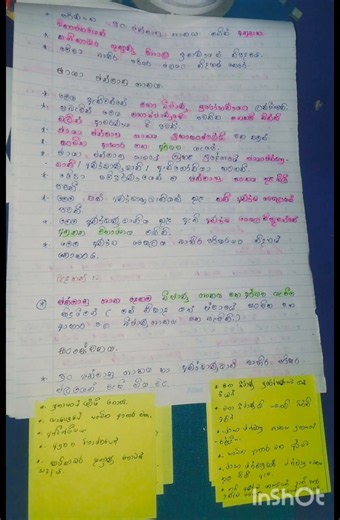 biology lesson 4(cycles)