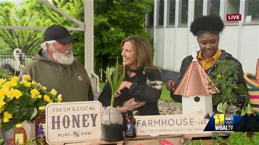 What you can expect when you visit Spring Meadow Farms